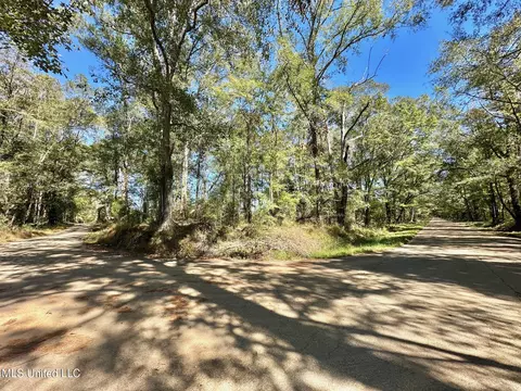 1008 Pleasant Ln, Wesson, MS 39191 photo 12