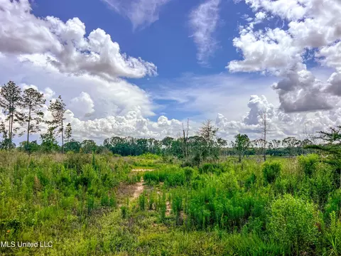 Graves Chapel Rd. Road, Liberty, MS 39645