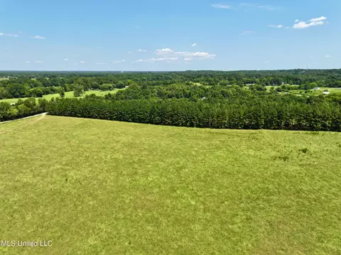 Cedar Hill Road, Flora, MS 39071 photo 5
