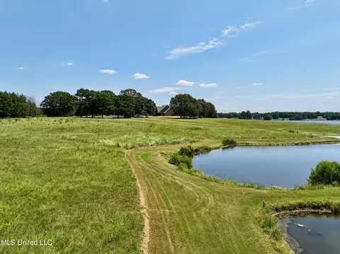 Cedar Hill Road, Flora, MS 39071 photo 13