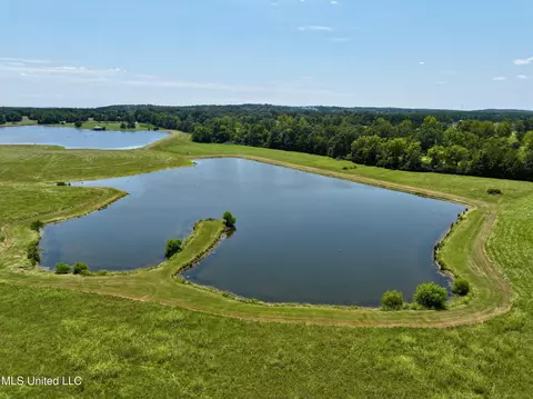 Cedar Hill Road, Flora, MS 39071 photo 3