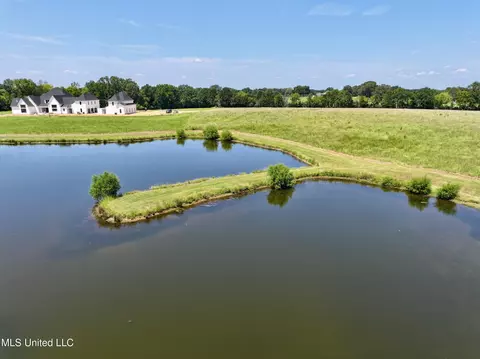 Cedar Hill Road, Flora, MS 39071 photo 10