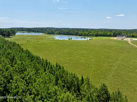 Cedar Hill Road, Flora, MS 39071 photo 2