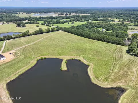 Cedar Hill Road, Flora, MS 39071 photo 7