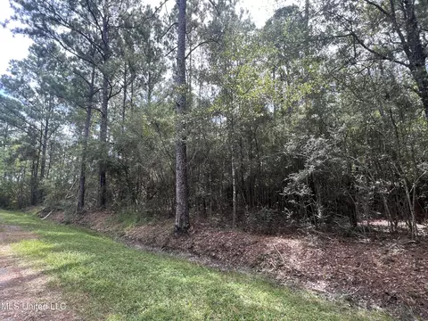 Nhn Tampa Circle, Pearlington, MS 39572