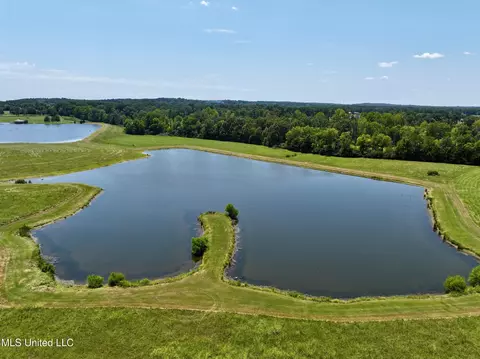 Cedar Hill Road, Flora, MS 39071 photo 4