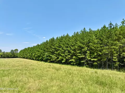 Cedar Hill Road, Flora, MS 39071 photo 18