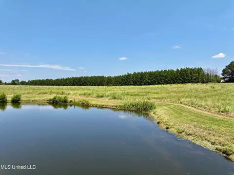 Cedar Hill Road, Flora, MS 39071 photo 13