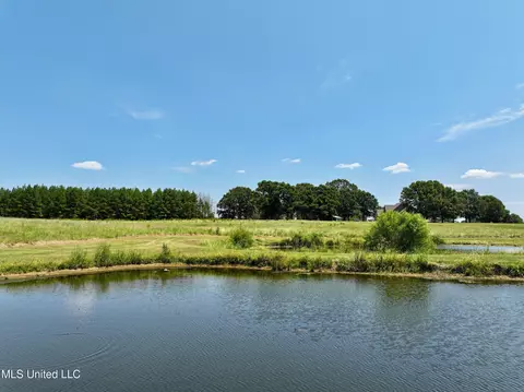 Cedar Hill Road, Flora, MS 39071 photo 17