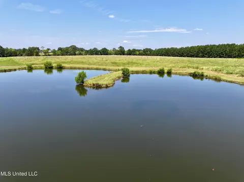 Cedar Hill Road, Flora, MS 39071 photo 11