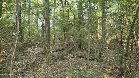 000 Alabama St, Roxie, MS 39661