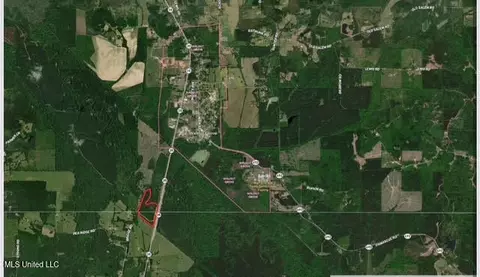 0 Highway 35, Walnut Grove, MS 39189 photo 28
