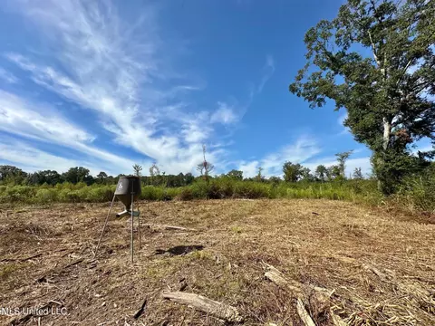0 Highway 35, Walnut Grove, MS 39189 photo 4
