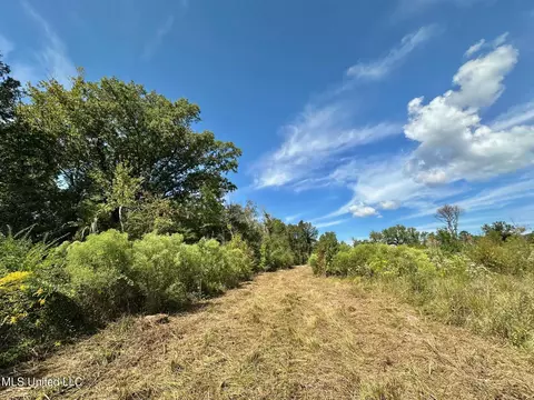 0 Highway 35, Walnut Grove, MS 39189 photo 13
