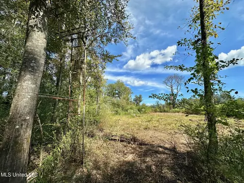 0 Highway 35, Walnut Grove, MS 39189 photo 15