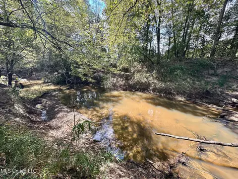0 Highway 35, Walnut Grove, MS 39189 photo 12