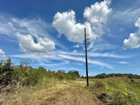 0 Highway 35, Walnut Grove, MS 39189 photo 18