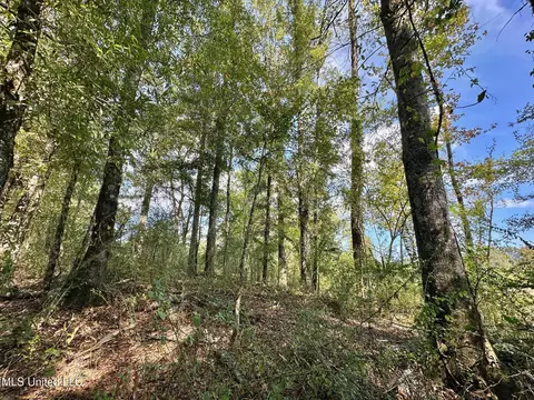 0 Highway 35, Walnut Grove, MS 39189 photo 16