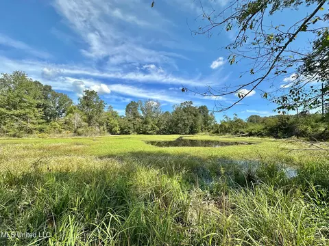 0 Highway 35, Walnut Grove, MS 39189 photo 8