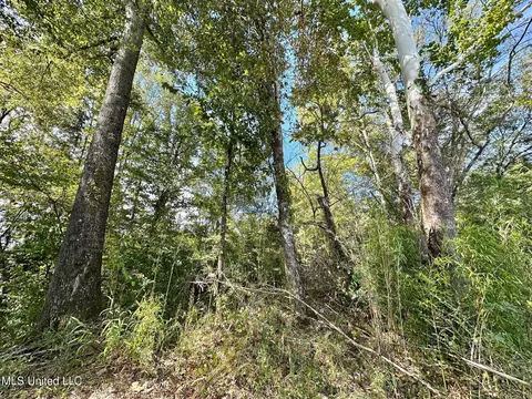 0 Highway 35, Walnut Grove, MS 39189 photo 11