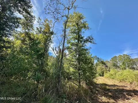 0 Highway 35, Walnut Grove, MS 39189 photo 9