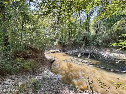 0 Highway 35, Walnut Grove, MS 39189 photo 17