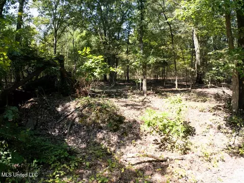 6400 Stateline Rd, Olive Branch, MS 38654 photo 11