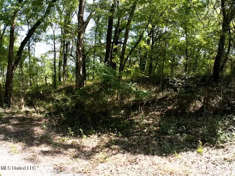 6400 Stateline Rd, Olive Branch, MS 38654 photo 12