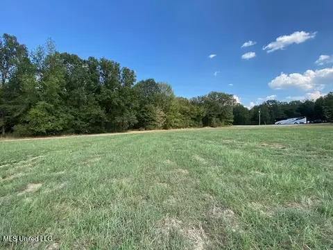 10 12 Acres Smith, Hernando, MS 38632 photo 8