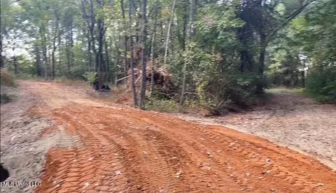 10 12 Acres Smith, Hernando, MS 38632 photo 5