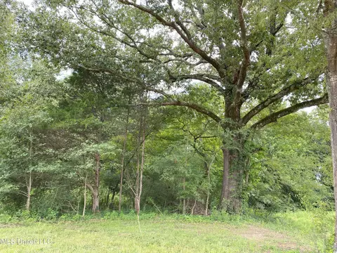 10 12 Acres Smith, Hernando, MS 38632 photo 6