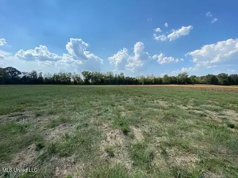 10 12 Acres Smith, Hernando, MS 38632 photo 9