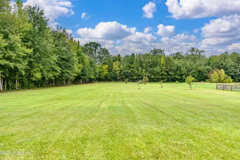 Exterior - 198 Crossview Pl, Brandon, MS 39047 photo 14 of 21