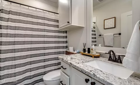Bath - 836 Long Leaf Cir, Brandon, MS 39042 photo 9 of 10