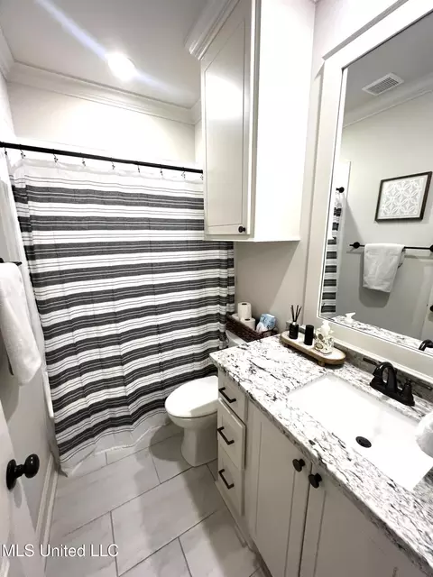 Bath - 836 Long Leaf Cir, Brandon, MS 39042 photo 10 of 10