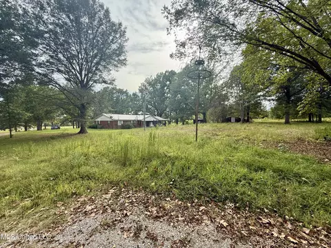 3836 Cleveland Rd, Hernando, MS 38632 photo 4