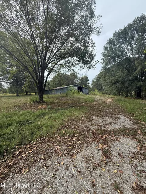 3836 Cleveland Rd, Hernando, MS 38632 photo 6