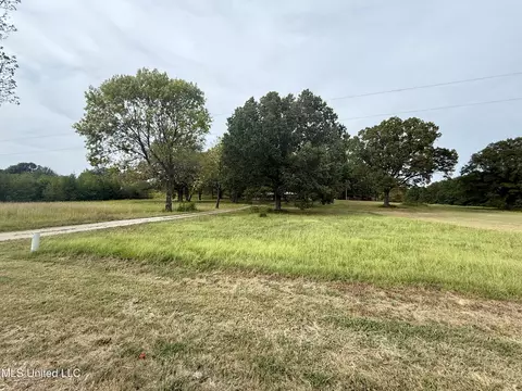 3836 Cleveland Rd, Hernando, MS 38632 photo 21