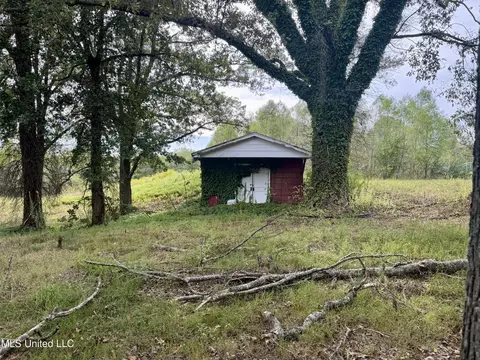 3836 Cleveland Rd, Hernando, MS 38632 photo 16