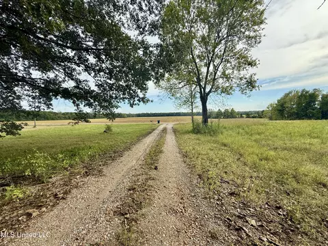 3836 Cleveland Rd, Hernando, MS 38632 photo 18