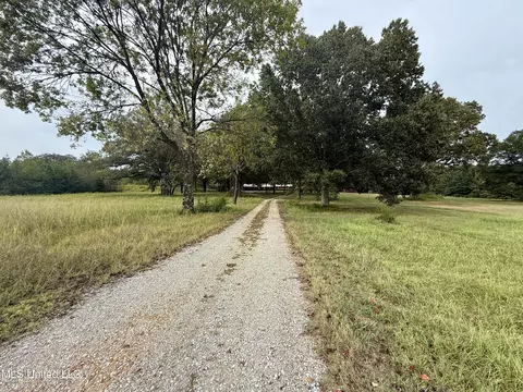 3836 Cleveland Rd, Hernando, MS 38632 photo 19