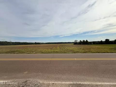 3836 Cleveland Rd, Hernando, MS 38632 photo 22