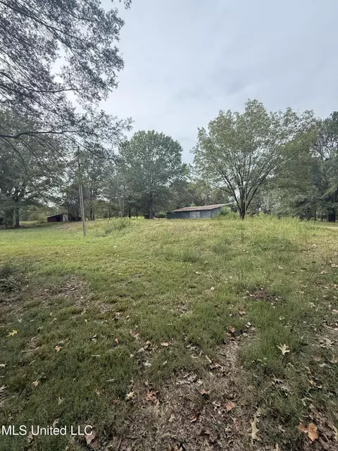 3836 Cleveland Rd, Hernando, MS 38632 photo 5