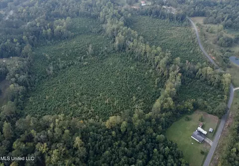 Blizzard Road, Meridian, MS 39305