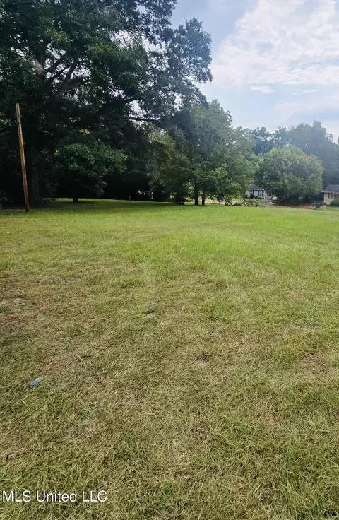 110 Old Tchula Rd, Lexington, MS 39095 photo 5