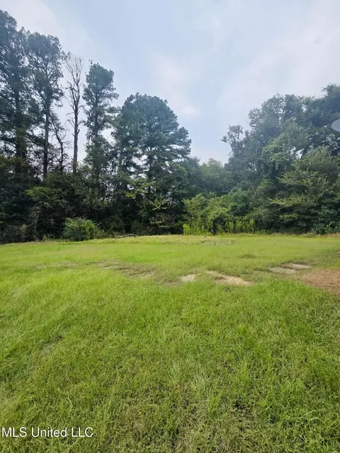 110 Old Tchula Rd, Lexington, MS 39095 photo 6