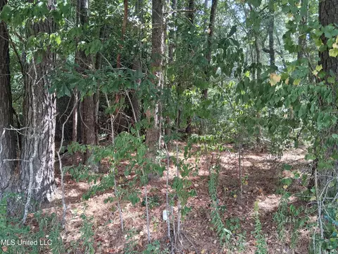 Cottonwood Drive, Natchez, MS 39120