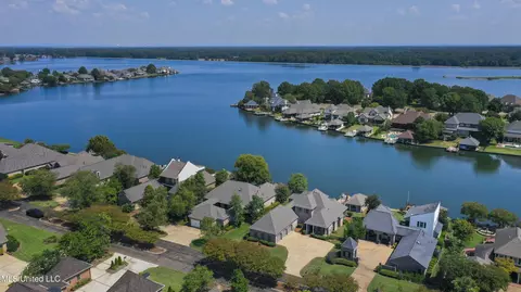 View/Area - 154 Belle Pointe Pointe, Madison, MS 39110 photo 6 of 17