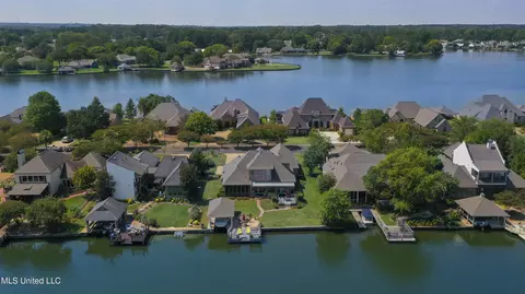 View/Area - 154 Belle Pointe Pointe, Madison, MS 39110 photo 16 of 17