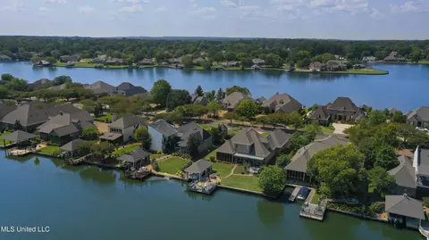 View/Area - 154 Belle Pointe Pointe, Madison, MS 39110 photo 14 of 17